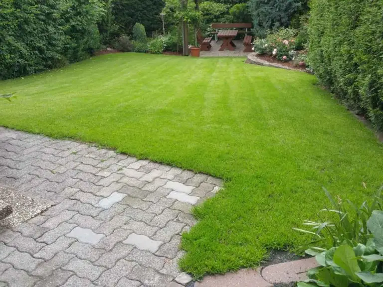 Ein ordentlich gemähter, grüner Rasen, umrahmt von Hecken und Blumenbeeten, mit einer Steinterrasse im Vordergrund und einem hölzernen Picknicktisch unter einer Pergola im Hintergrund.