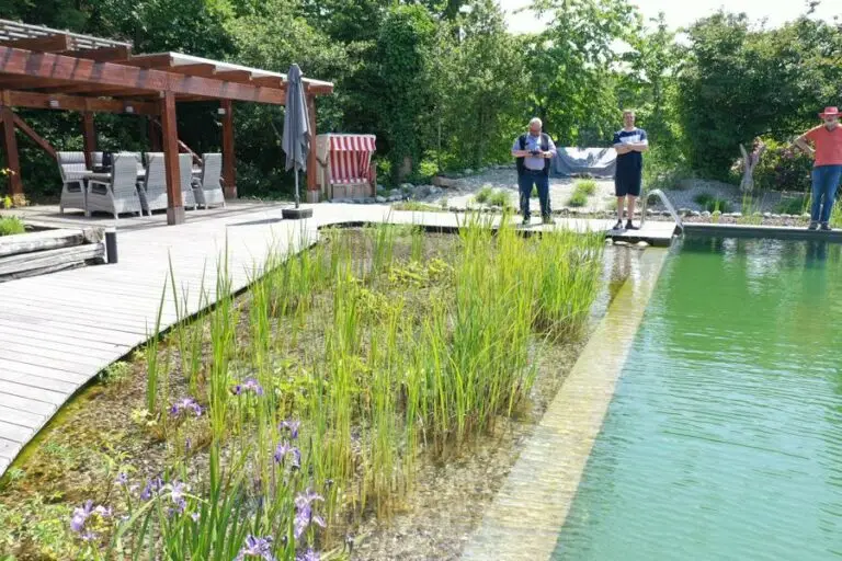 Ein Naturschwimmbad mit klarem Wasser, Wasserpflanzen und einem Holzdeck. Drei Personen stehen in der Nähe des Pools, zwei halten ein großes Tuch, im Hintergrund sind Grünflächen und Sitzgelegenheiten im Freien zu sehen.