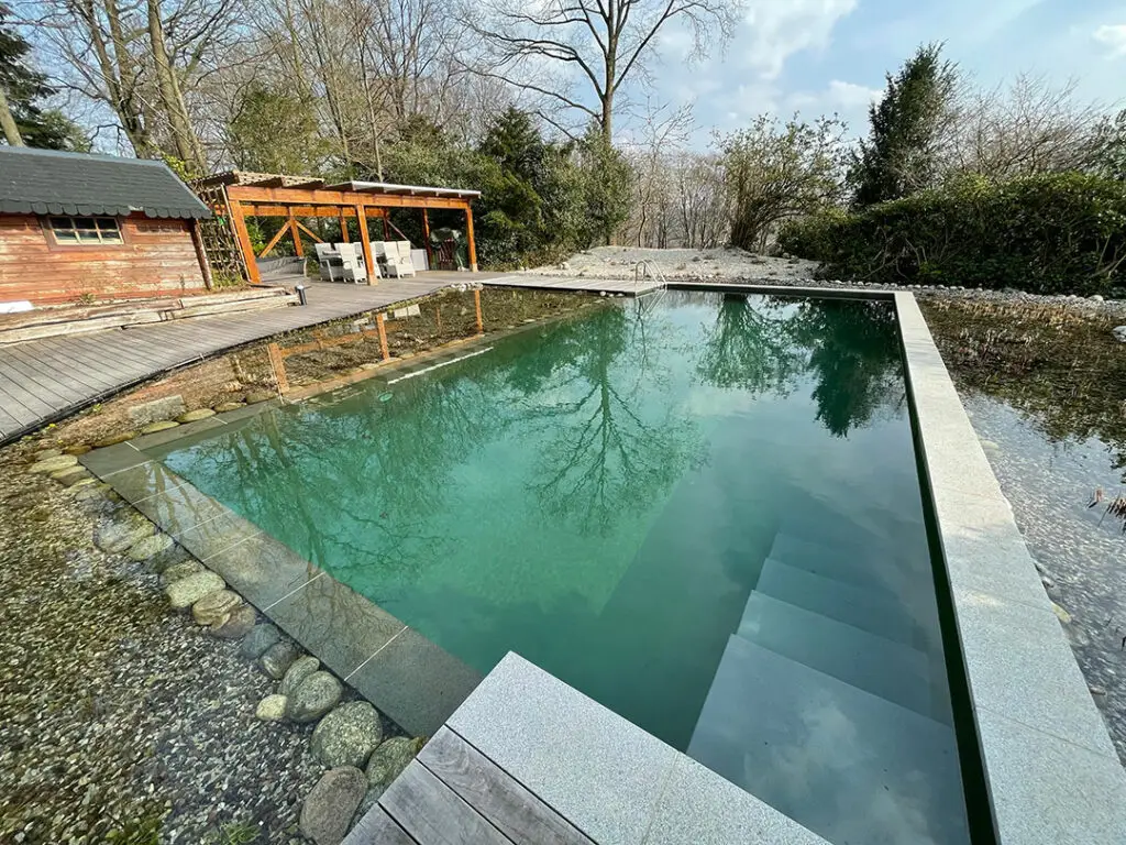 Ein rechteckiges Naturschwimmbecken mit klarem Wasser, Steinstufen und einer umlaufenden Terrasse in einem Hinterhof mit Bäumen, Sträuchern und einer hölzernen Pergola in der Nähe.