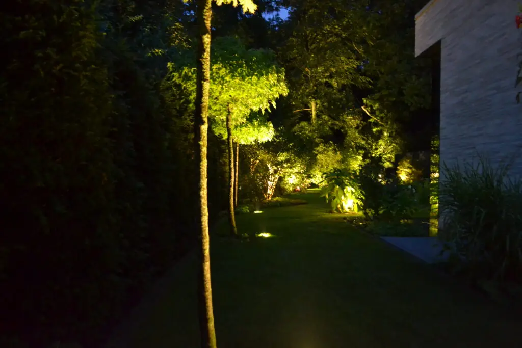 Eine nächtliche Gartenszene mit Bäumen und Sträuchern, die von Bodenlampen beleuchtet werden und einen gut beleuchteten Weg neben einem Gebäude mit Grün auf der rechten Seite und dichtem Laub auf der linken Seite bilden.