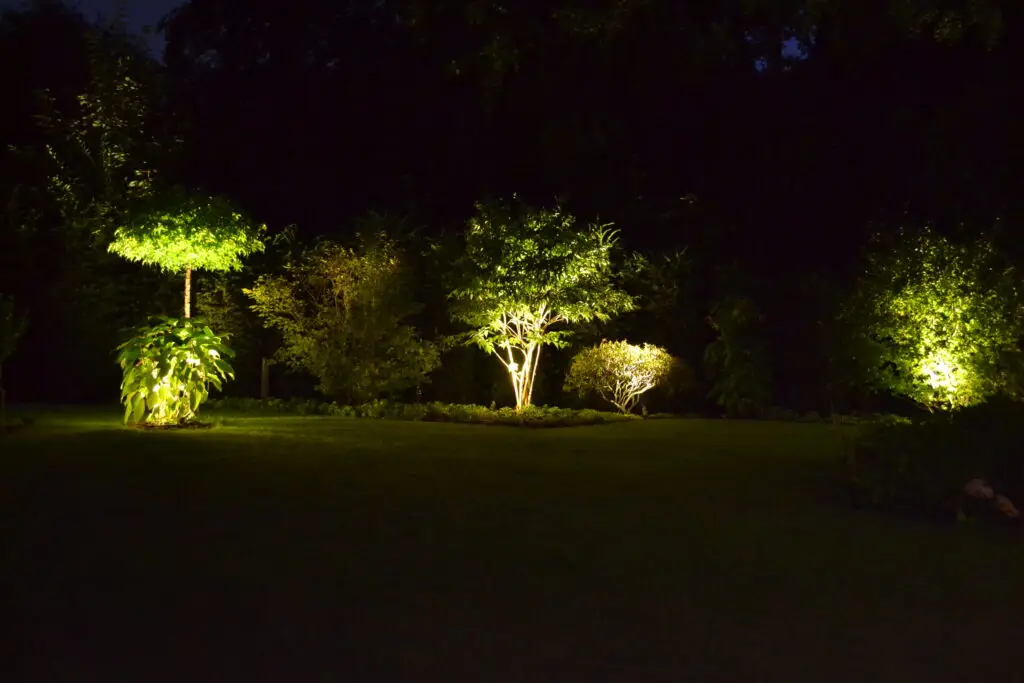 Eine nächtliche Ansicht eines Gartens mit mehreren Bäumen und Sträuchern, die von Außenlampen beleuchtet werden und einen hellen Kontrast zur dunklen Umgebung bilden.