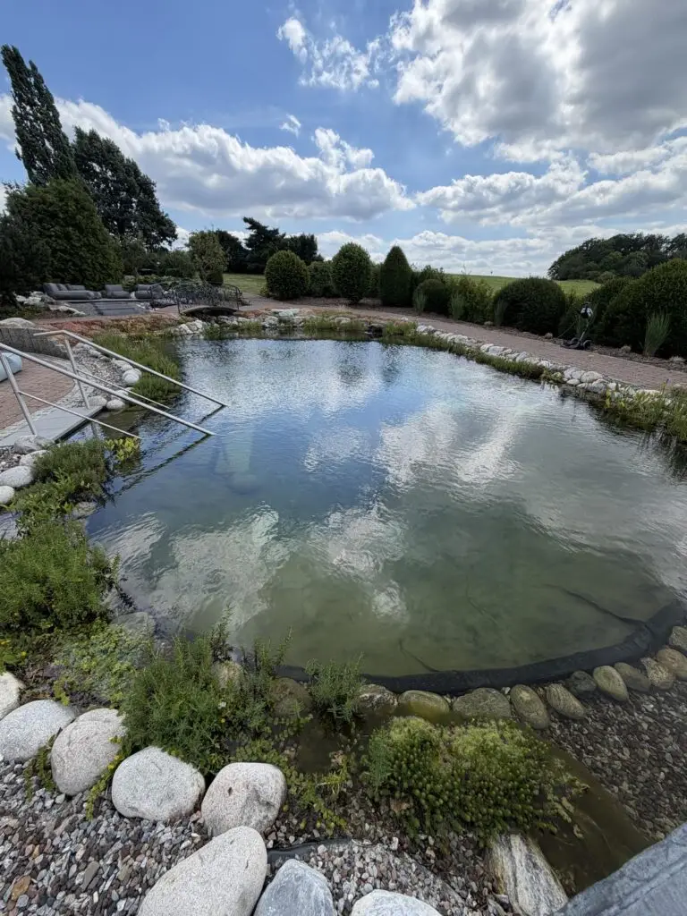 Ein natürlich anmutender Teich, umgeben von Steinen und Grünpflanzen, in dem sich Wolken und der blaue Himmel spiegeln. Ein Metallgeländer führt ins Wasser hinab, und im Hintergrund säumen gestutzte Sträucher den Rand.